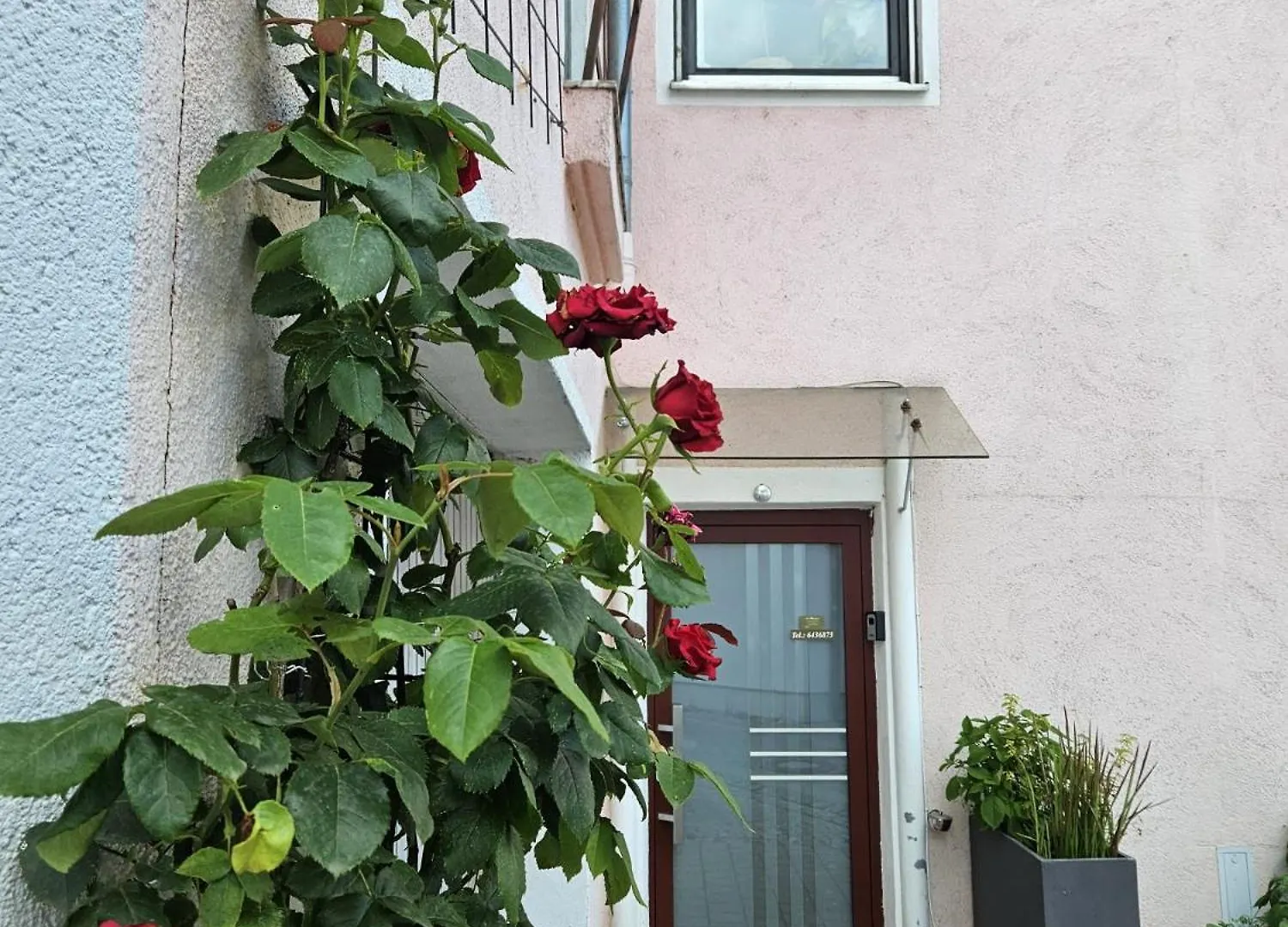 Ferienhaus Am Gruenen Bug Neuburg an Der Donau 0*,